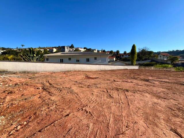 #93 - Área para  em Carandaí - MG - 3