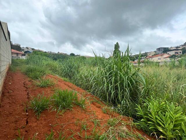 Área para Venda em Carandaí - 5
