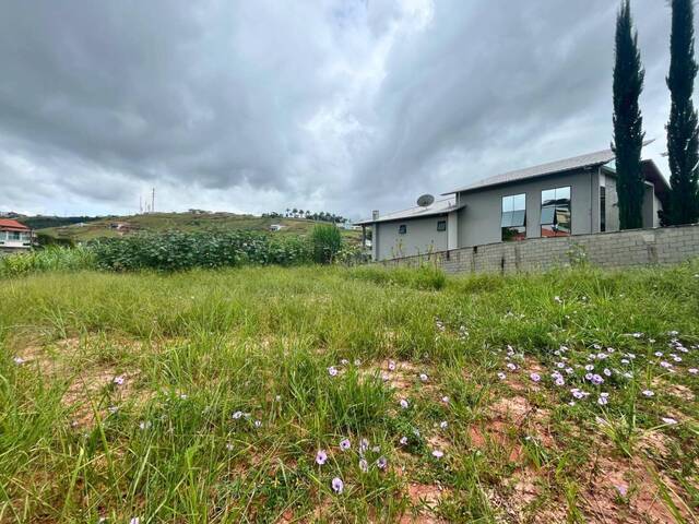 Área para Venda em Carandaí - 4