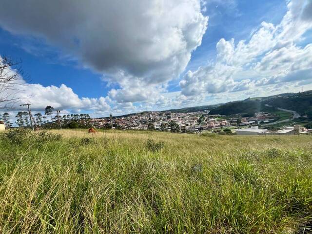 Venda em Vila da Serra - Carandaí