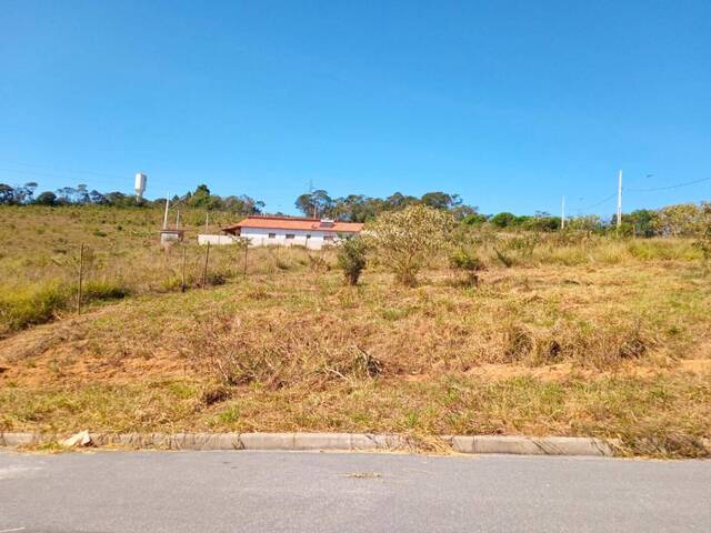 Área para Venda em Carandaí - 5