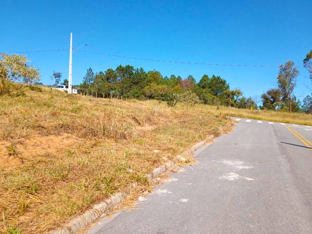 Área para Venda em Carandaí - 4