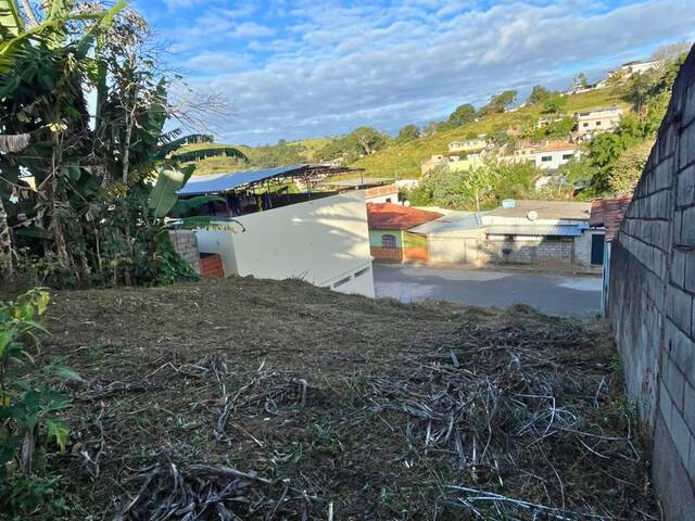 Área para Venda em Carandaí - 4