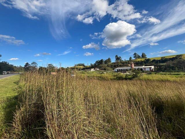 Área para Venda em Carandaí - 4