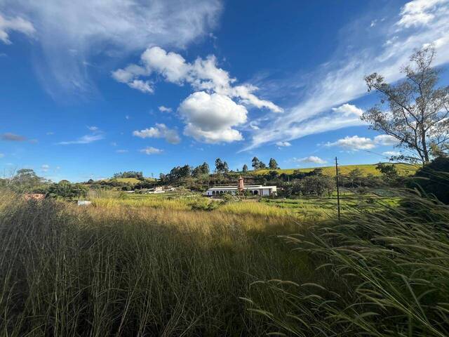 Área para Venda em Carandaí - 5