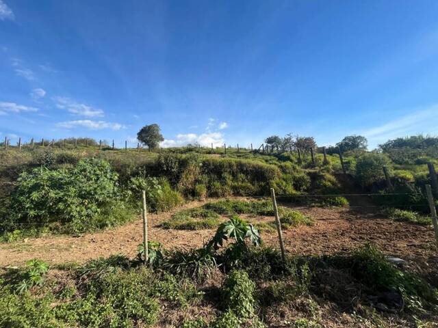 #38 - Área para Venda em Carandaí - MG - 3