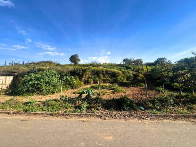 Área para Venda em Carandaí - 4