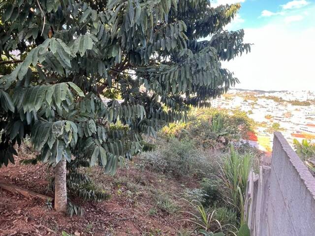 Área para Venda em Carandaí - 4