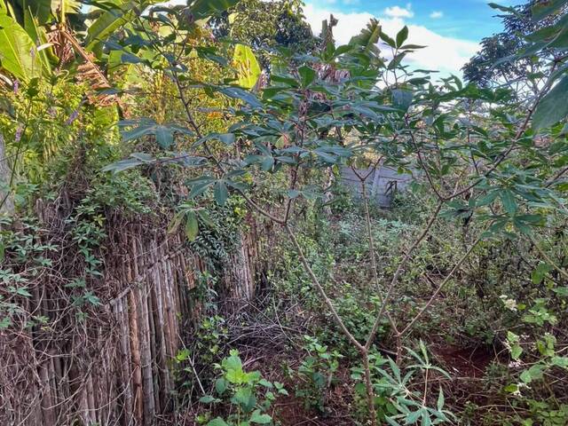 Área para Venda em Carandaí - 5