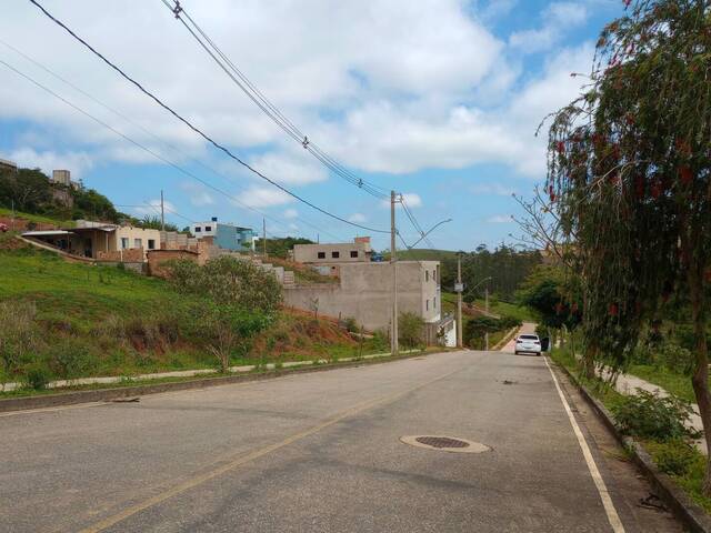 #46 - Área para Venda em Conselheiro Lafaiete - MG - 3