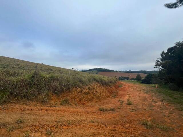 #47 - Área para Venda em Carandaí - MG - 3