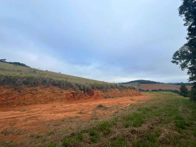 Área para Venda em Carandaí - 4