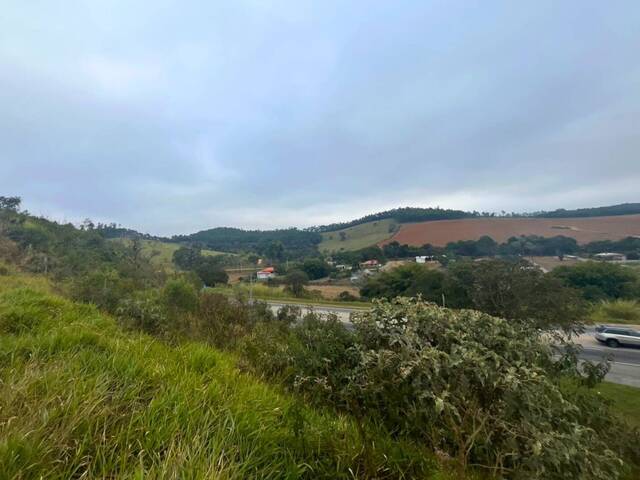Área para Venda em Carandaí - 5