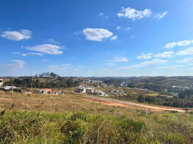 #52 - Área para Venda em Carandaí - MG