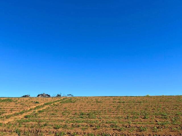 Fazenda para Venda em Carandaí - 4