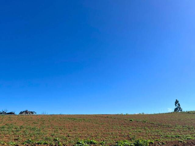 Fazenda para Venda em Carandaí - 5