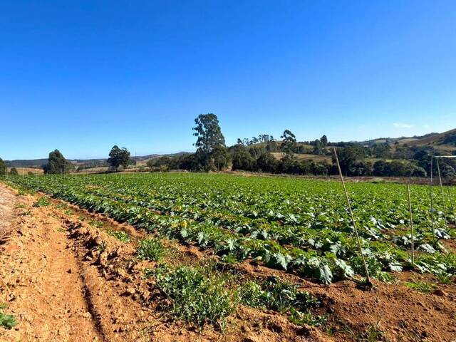 #54 - Fazenda para Venda em Carandaí - MG - 2