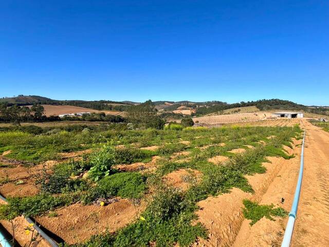 #54 - Fazenda para Venda em Carandaí - MG - 3