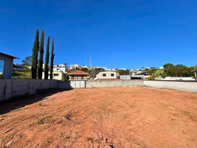 #55 - Área para Venda em Carandaí - MG
