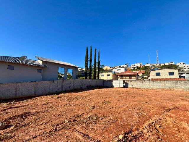 Área para Venda em Carandaí - 4