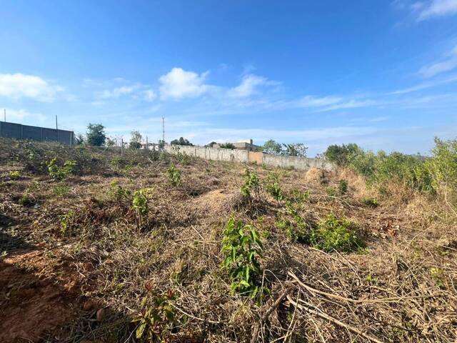 Terreno para Venda em Carandaí - 5