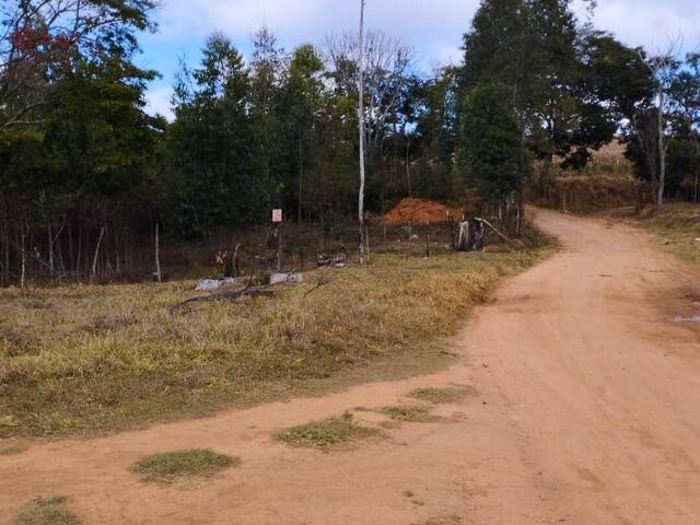 #68 - Chácara para Venda em Carandaí - MG - 2