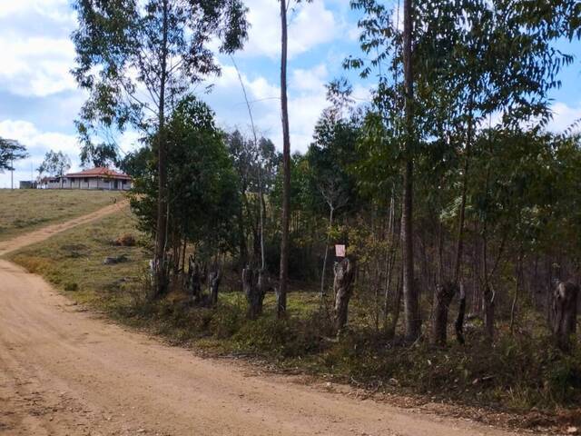 #68 - Chácara para Venda em Carandaí - MG - 3