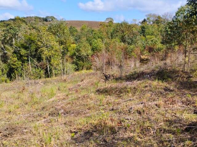 #68 - Chácara para Venda em Carandaí - MG