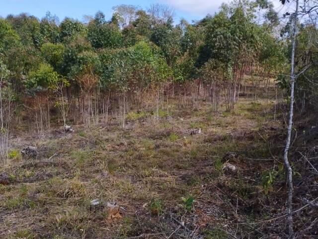 Chácara para Venda em Carandaí - 4