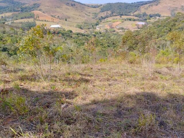 #68 - Chácara para Venda em Carandaí - MG - 1