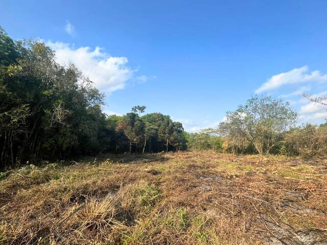 #63 - Chácara para Venda em Carandaí - MG