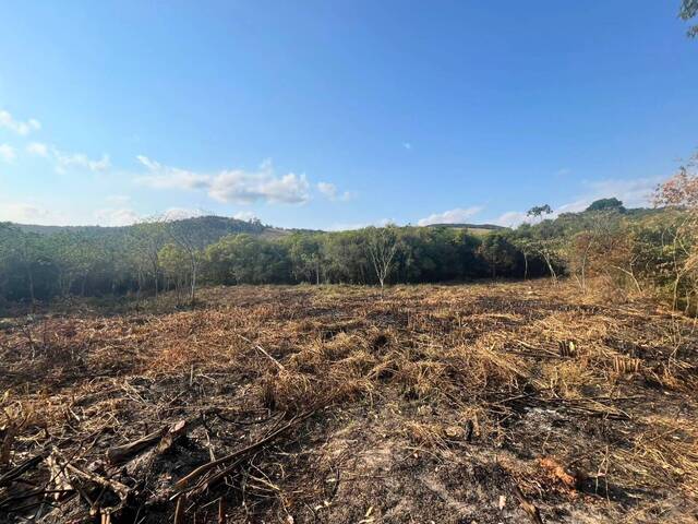 Chácara para Venda em Carandaí - 4