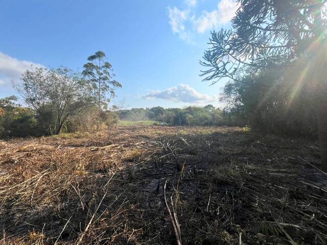 #63 - Chácara para Venda em Carandaí - MG