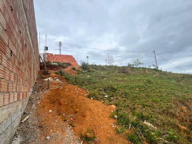 #76 - Terreno para Venda em Carandaí - MG