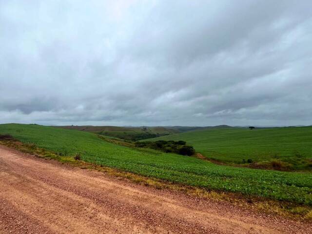 Fazenda para Venda em São João del Rei - 5