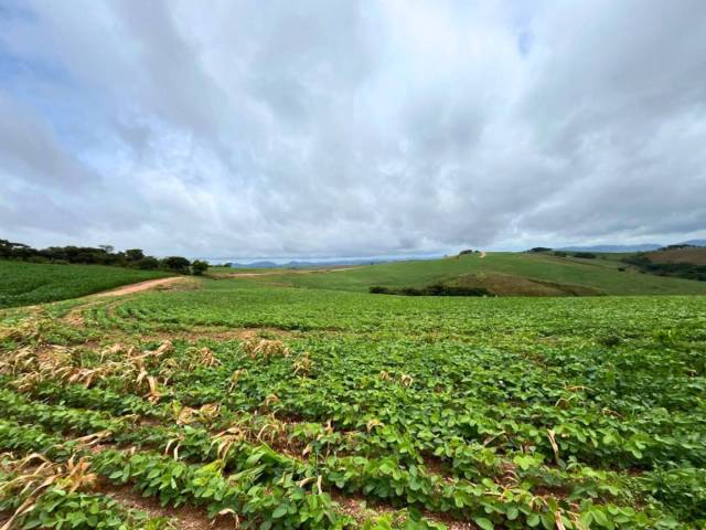 #90 - Fazenda para Venda em São João del Rei - MG - 2