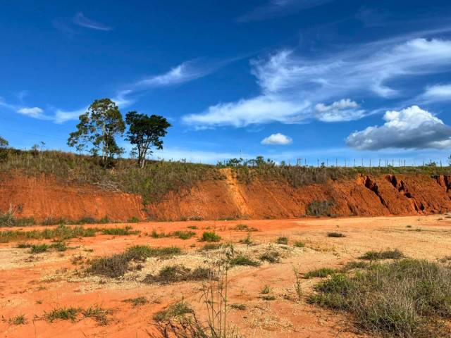 #91 - Área para Venda em Carandaí - MG - 2
