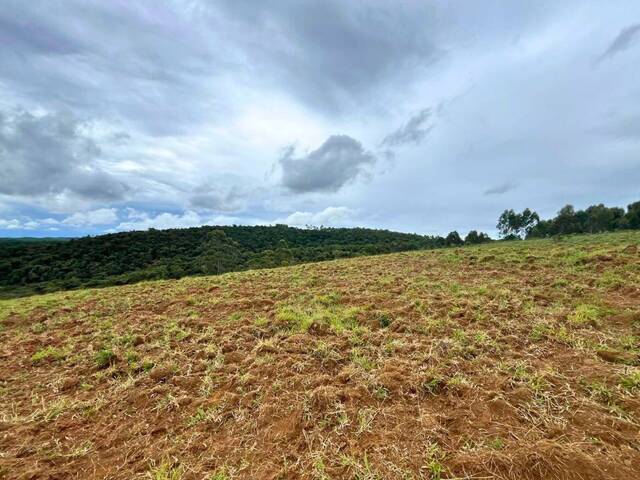 Sítio para Venda em Carandaí - 4