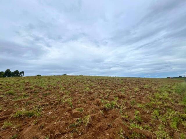 Sítio para Venda em Carandaí - 5