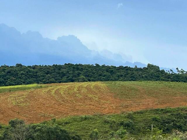 #102 - Sítio para Venda em Carandaí - MG
