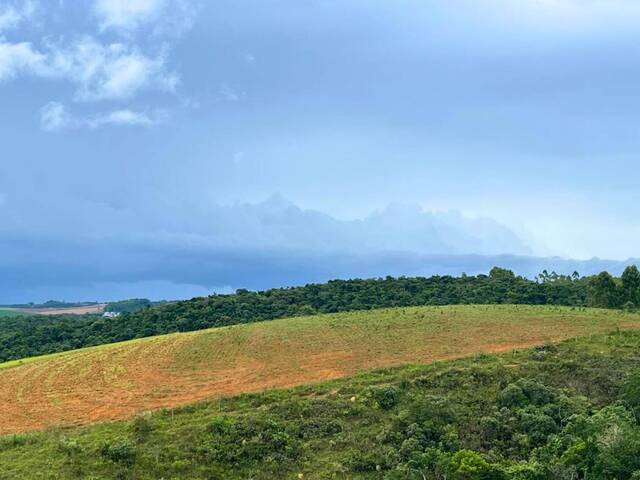 #102 - Sítio para Venda em Carandaí - MG