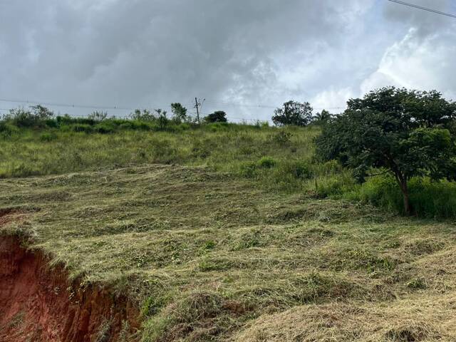 Terreno para Venda em Carandaí - 4