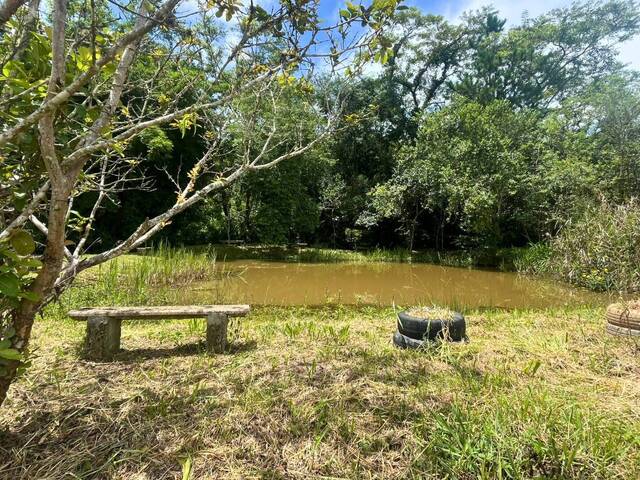 Sítio para Temporada em Carandaí - 4