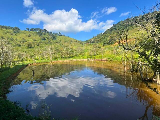#122 - Chácara para Venda em Santana dos Montes - MG - 2