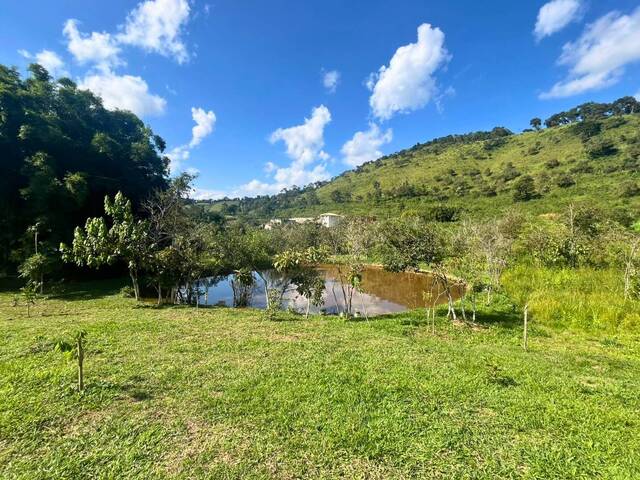 #122 - Chácara para Venda em Santana dos Montes - MG - 3