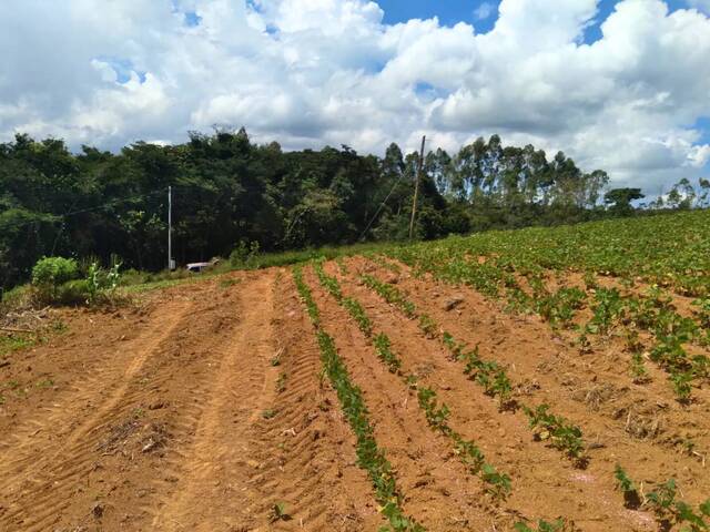 Chácara para Venda em Carandaí - 2