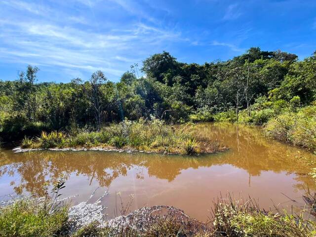 Chácara para Venda em Carandaí - 5