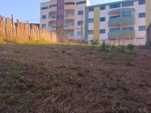 #136 - Área para Venda em Conselheiro Lafaiete - MG - 1