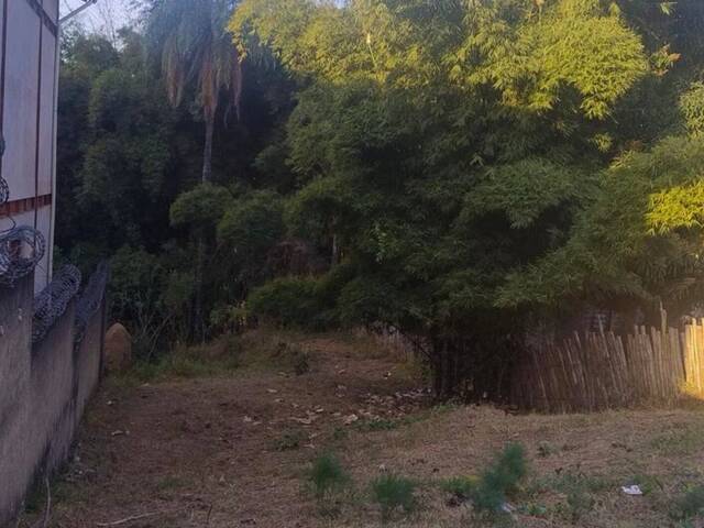#136 - Área para Venda em Conselheiro Lafaiete - MG - 3