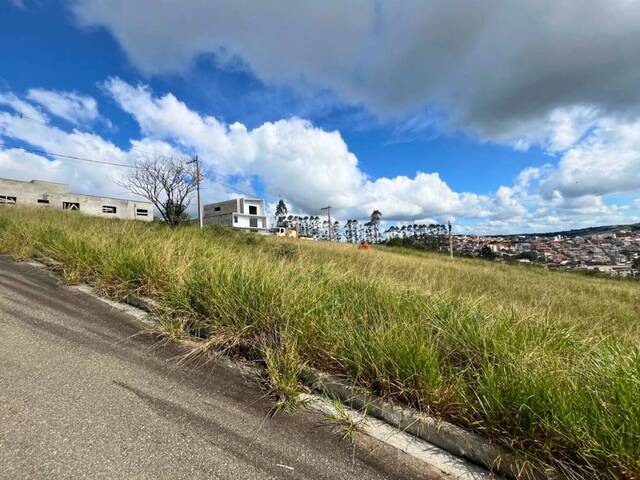 #44 - Área para Venda em Carandaí - MG - 3